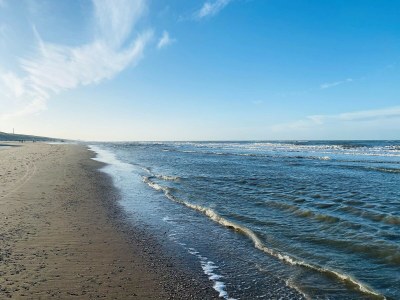 Chalet Wellness Bij De Duinen - Environment photo 21