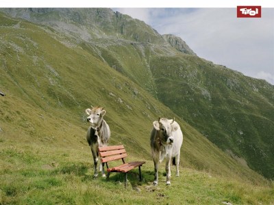 Apartment Modern penthouse  in Gasteig - Environment photo 24