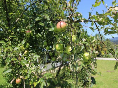 Holiday house Chalet in St. Johann nahe Skipisten - Outdoor photo 9