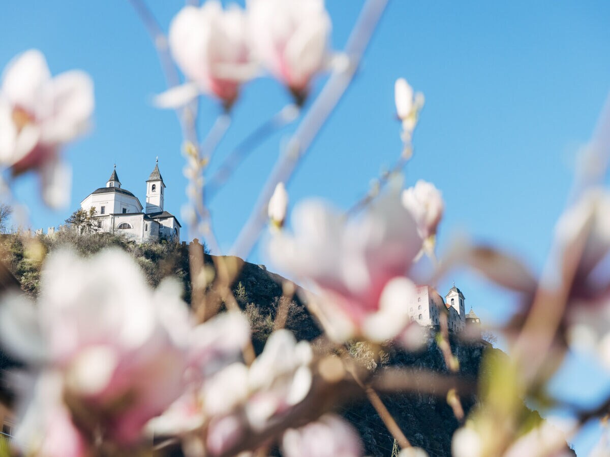 Holiday apartment with 3 bedrooms - Outdoor photo 3