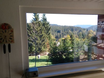 Holiday apartment Tannenzäpfle im Haslehaus - Features photo 10