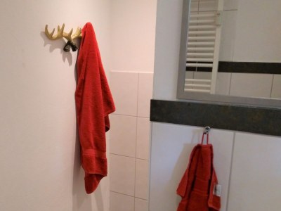 Holiday apartment Tannenzäpfle im Haslehaus - Features photo 21