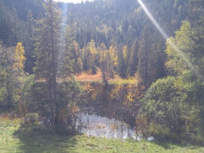 Holiday apartment Tannenzäpfle im Haslehaus - Environment photo 35