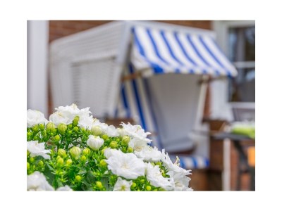 Holiday apartment Godewind I - Haus Fischer. 1 - Outdoor photo 7