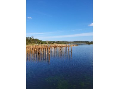 Holiday house Reski 2 - Environment photo 35