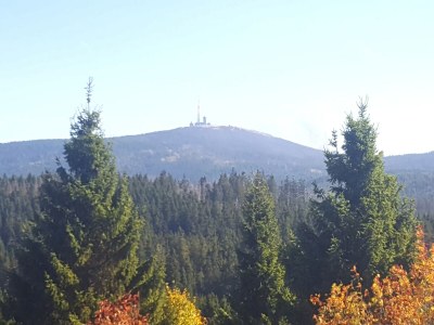 Holiday house Waldrand Braunlage Home - Environment photo 29