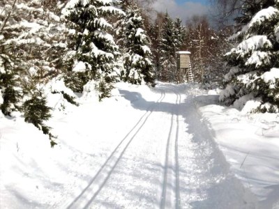 Holiday house Waldrand Braunlage Home - Environment photo 31