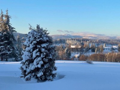 Holiday house Waldrand Braunlage Home - Environment photo 37