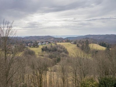 Holiday house Waldrand Braunlage Home - Environment photo 38