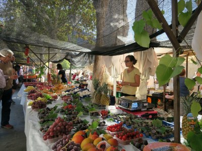 Holiday house Casa Xisca - Environment photo 40