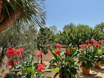 Cottage Cana Silvia - Outdoor photo 10