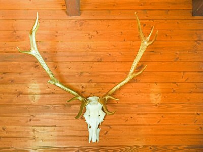 Chalet Cozy Chalet in Molln with Garden - Outdoor photo 22