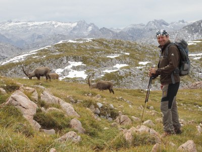 Holiday apartment Köglalm - Environment photo 19