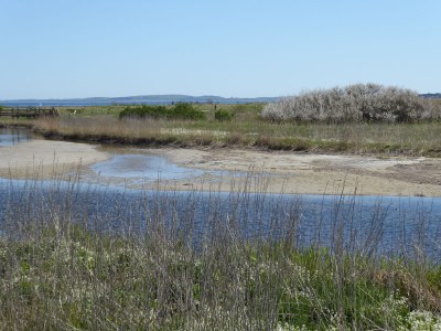 Holiday house Wellenklang - Environment photo 20