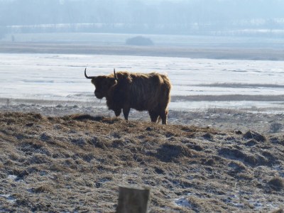 Holiday house Wellenklang - Environment photo 22