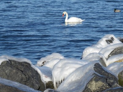 Holiday house Wellenklang - Environment photo 24