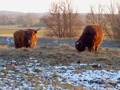 Holiday house Wellenklang - Environment photo 25