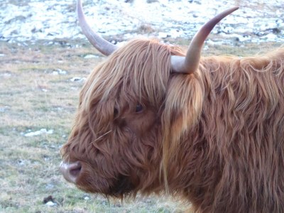 Holiday house Wellenklang - Environment photo 26