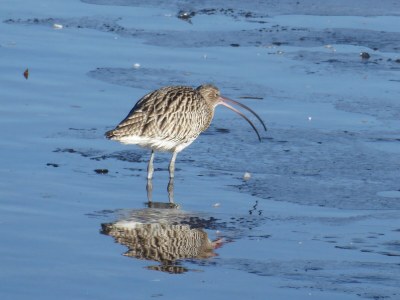 Holiday house Wellenklang - Environment photo 27