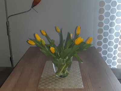 Holiday apartment Nordsee - Features photo 15