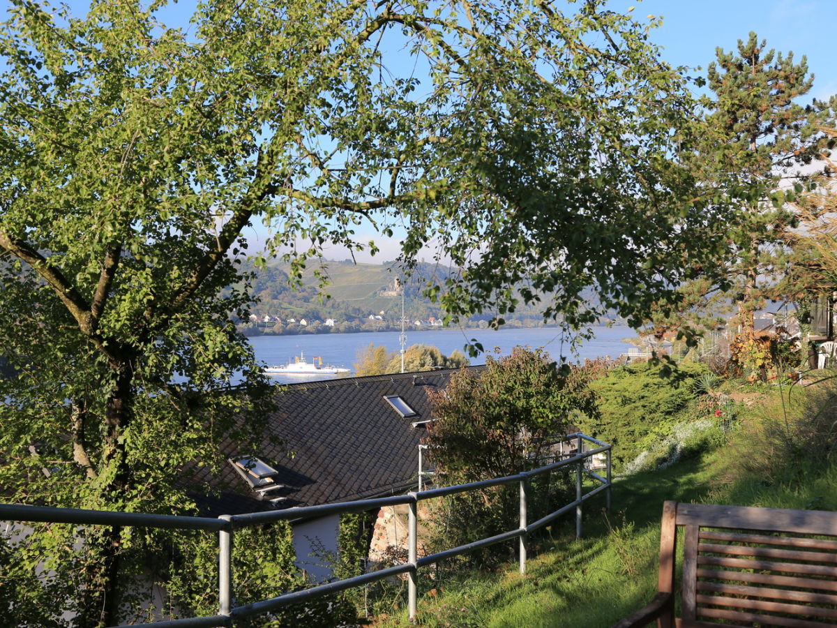 Holiday apartment Pinot noir - Outdoor photo 4