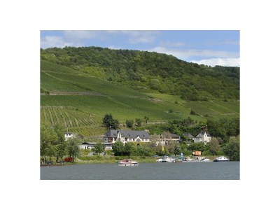 Holiday apartment Pinot noir - Outdoor photo 2