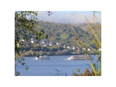 Holiday apartment Pinot noir - Outdoor photo 5