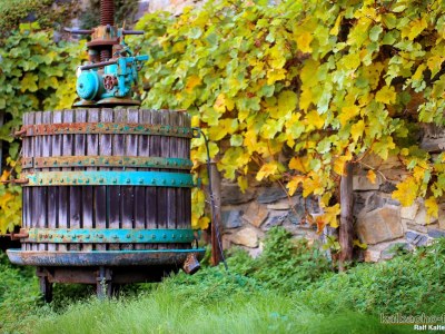 Holiday apartment Pinot noir - Outdoor photo 7