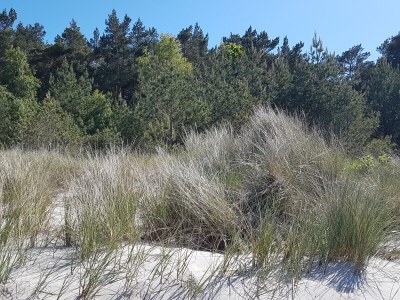 Holiday house Meeresrauschen - Environment photo 25