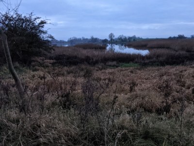 Holiday house Meeresrauschen - Environment photo 32