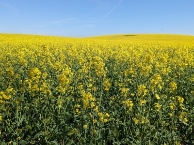 Holiday house Meeresrauschen - Environment photo 34