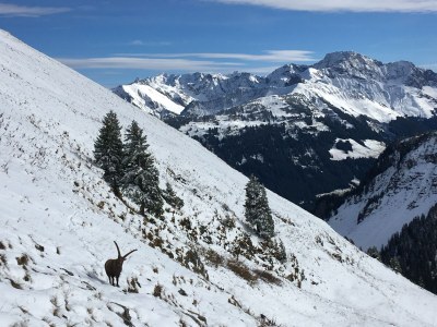 Holiday apartment Augia 1 - Environment photo 35