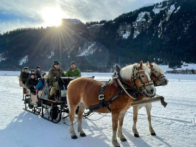 Holiday apartment Augia 1 - Environment photo 37