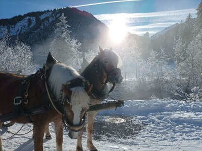 Holiday apartment Augia 1 - Environment photo 38