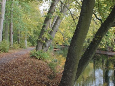 Holiday apartment Little Princess - Environment photo 19