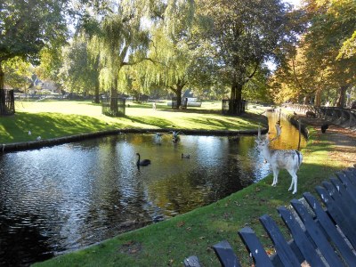 Holiday apartment Little Princess - Environment photo 21