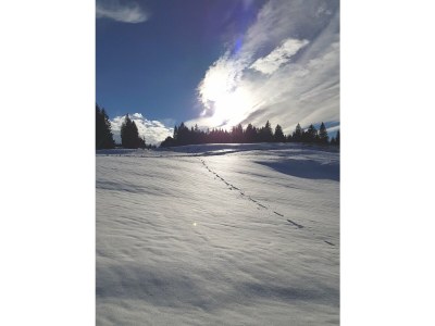 Holiday house Murst - Environment photo 28