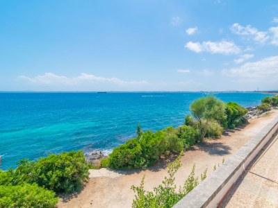 Villa Can Torrens - Environment photo 45