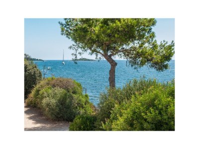 Villa Can Torrens - Environment photo 46