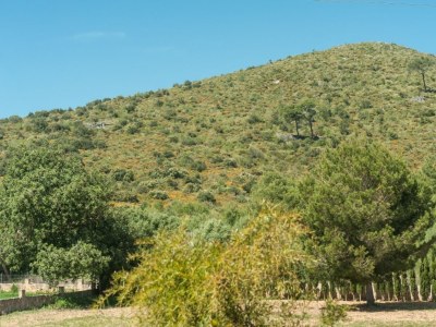 Villa Cas Padri 6 - Environment photo 37