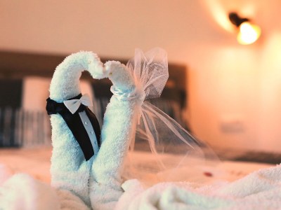 Holiday house Finca Maslenica - Features photo 18