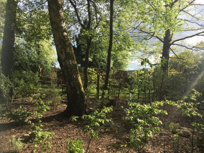 Holiday house Solling - Outdoor photo 15