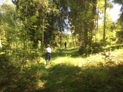 Holiday house Solling - Environment photo 35