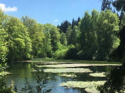 Holiday house Solling - Environment photo 36