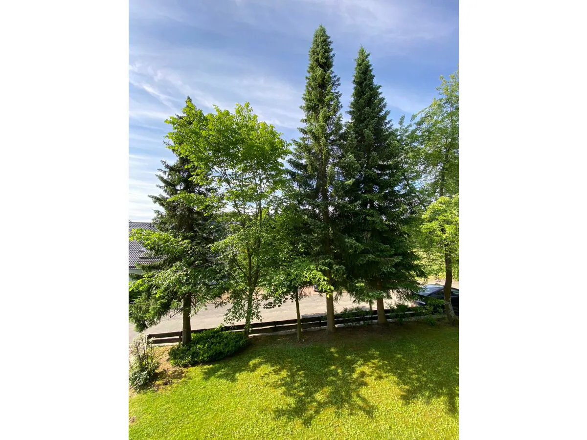 Holiday apartment Chalet Apartment 2 - Outdoor photo 3