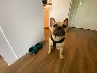 Holiday apartment Chalet Apartment 2 - Features photo 19