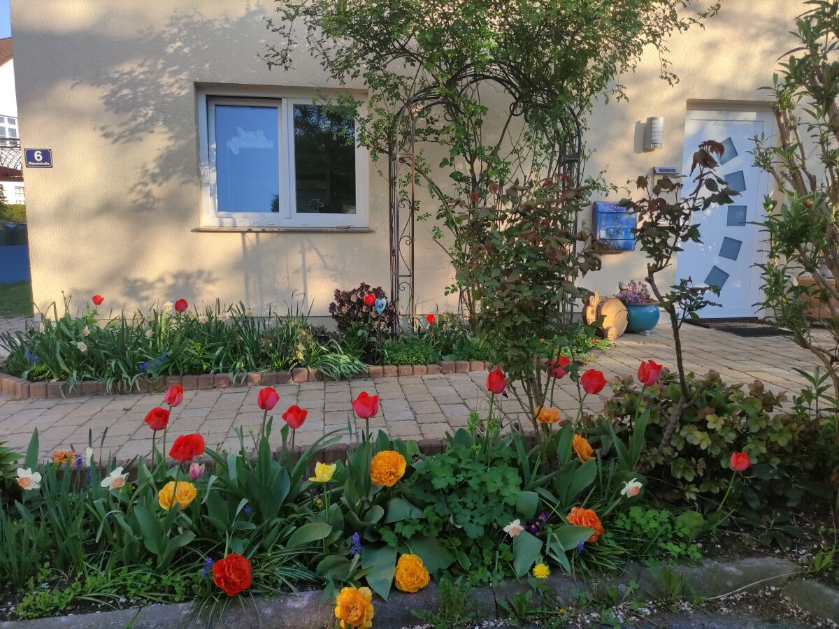 Holiday apartment Ferienwohnung Familie Noack - Outdoor photo 2