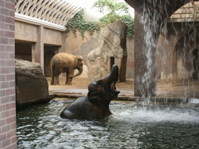 Holiday apartment Ferienwohnung Familie Noack - Environment photo 9