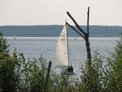 Holiday apartment Ferienwohnung Familie Noack - Environment photo 10