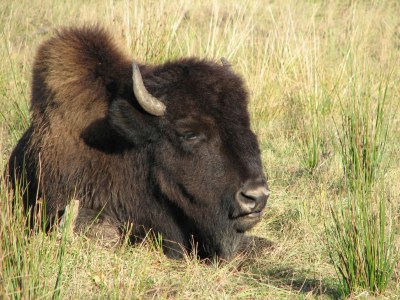 Holiday apartment Ferienwohnung Familie Noack - Environment photo 12